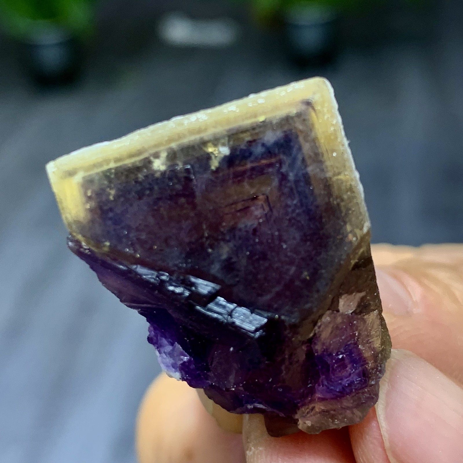23G Rare transparent purple cubic fluorite mineral crystal sample/China