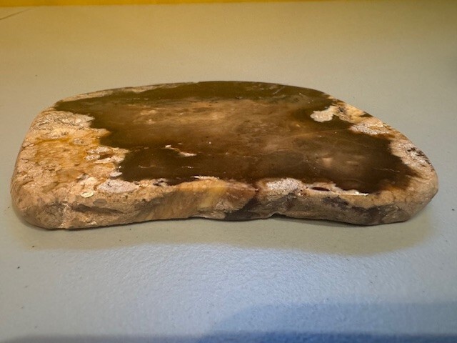 Display Stone Cut and Polished Agate Rock Slab Brown and White