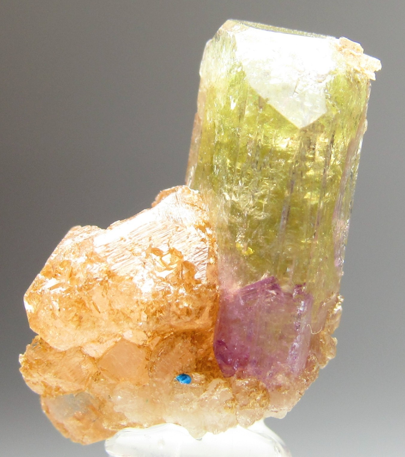 ELEGANT ULTRA RARE COMBO VESUVIANITE, GROSSULAR, DIOPSIDE!!! JEFFREY MINE CANADA