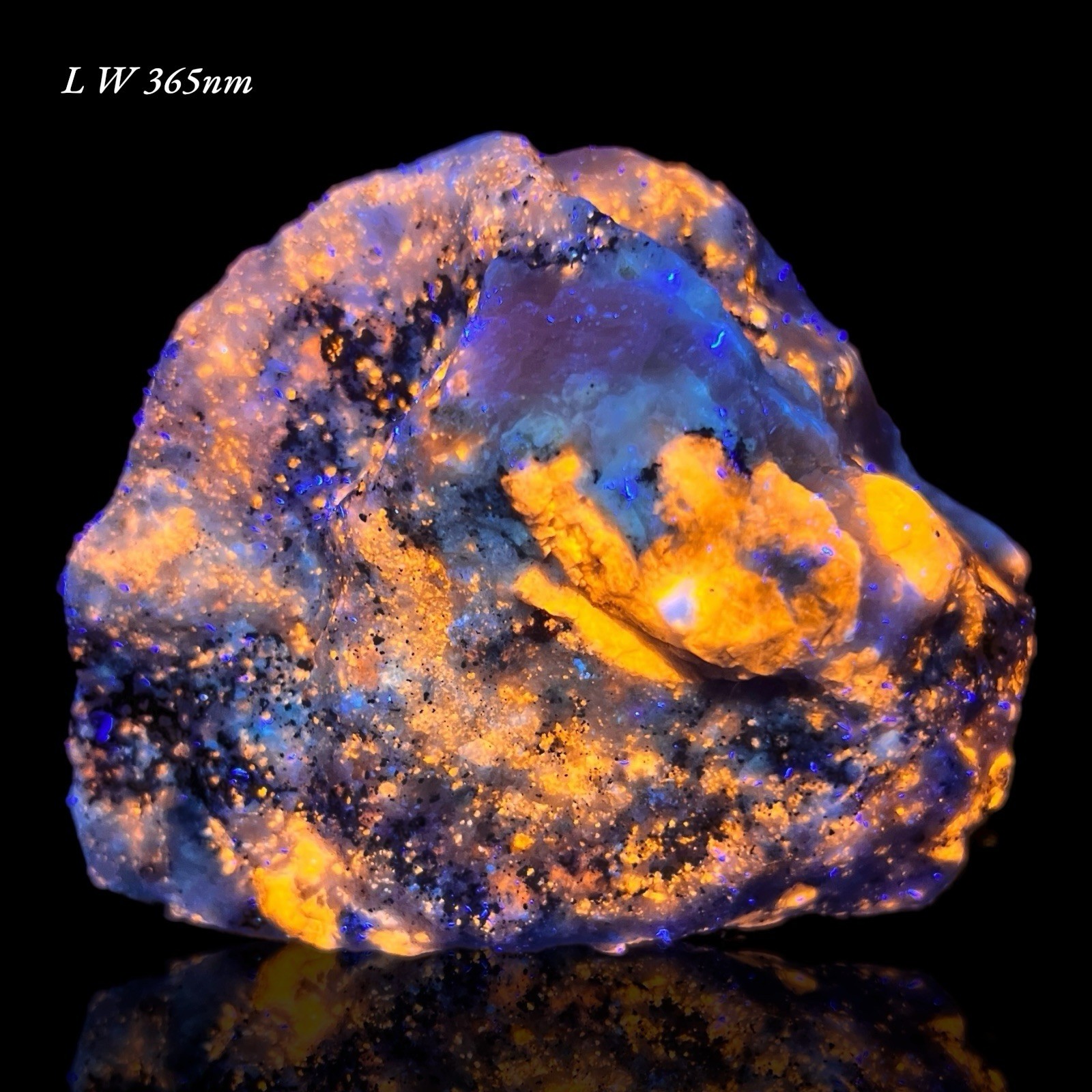 Afghanite, Lazurite, Marialite, Scapolite, Calcite, Fluorapatite, Phlogopite,