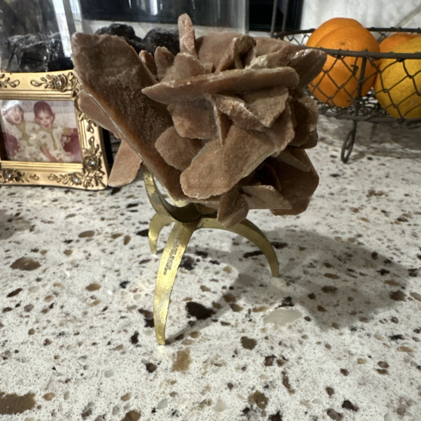 Desert Rose Selenite Gypsum Mineral Specimen on Display Stand