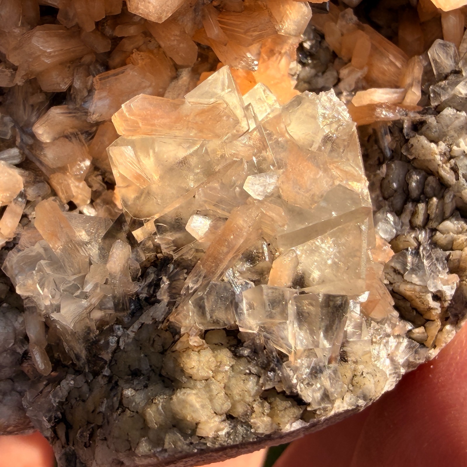 Rare Calcite Stellerite Julgodite Geode India Dual Wave UV Fluorescent Stand