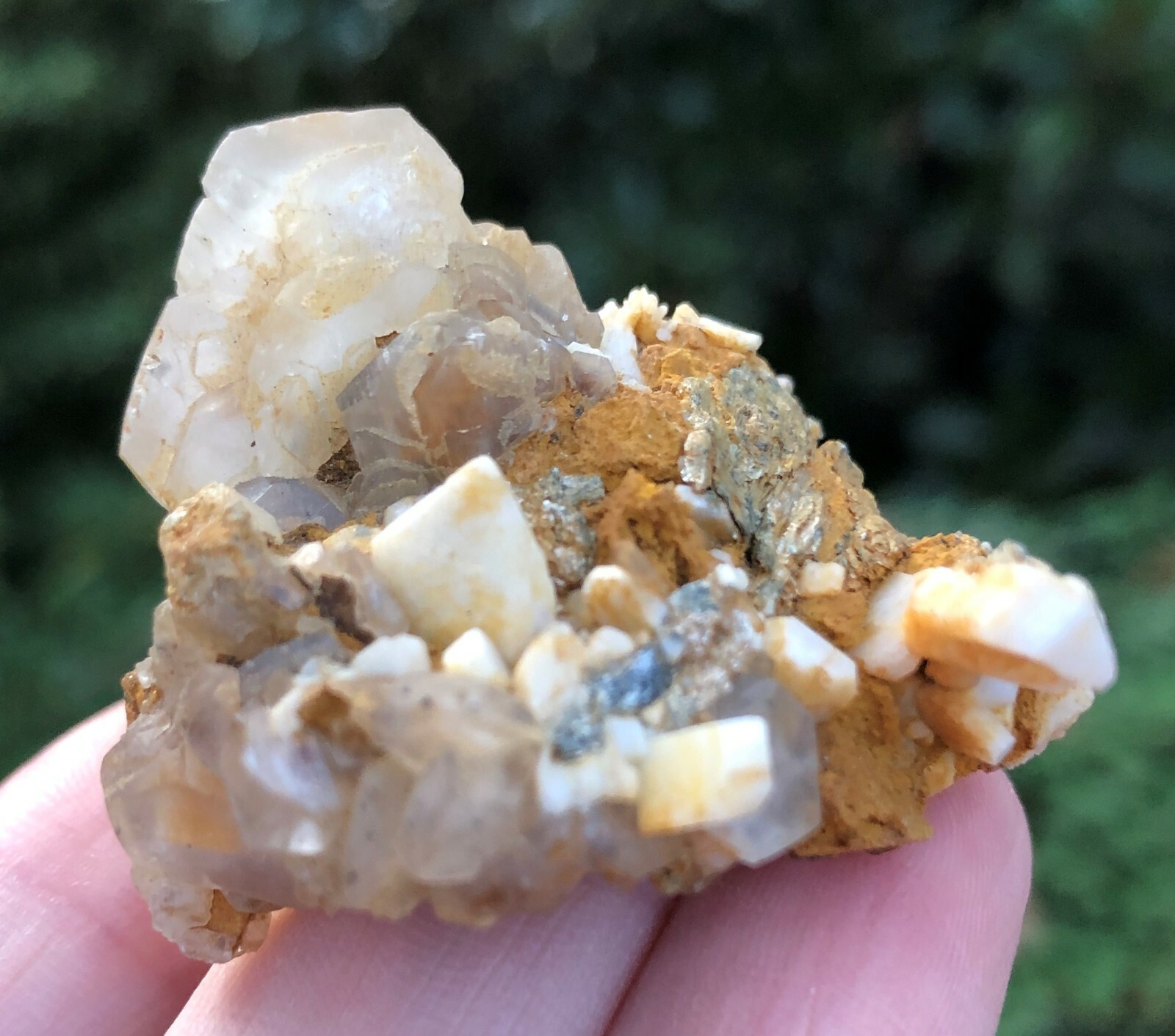 Albite var. Pericline Plus More, Tyrol, Austria, with Lesnicks Label