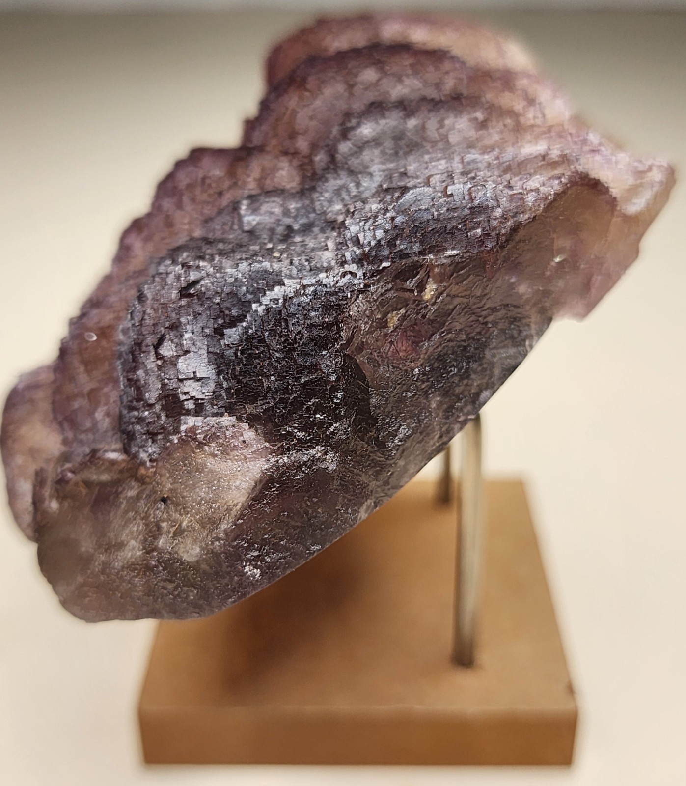 ✨️Terraced tricolor fluorite with chevron zoning Qinglong Mine, China✨️