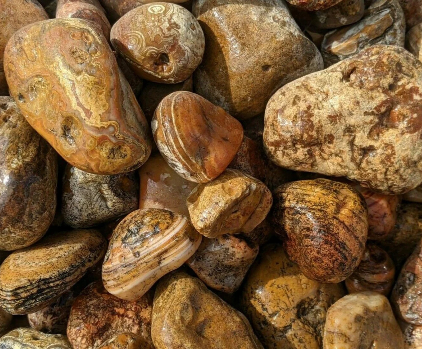 Bahia Agate – Small Rough Rocks for Tumbling – 0.5″ – 1.25″ – 1LB Bulk Wholesale