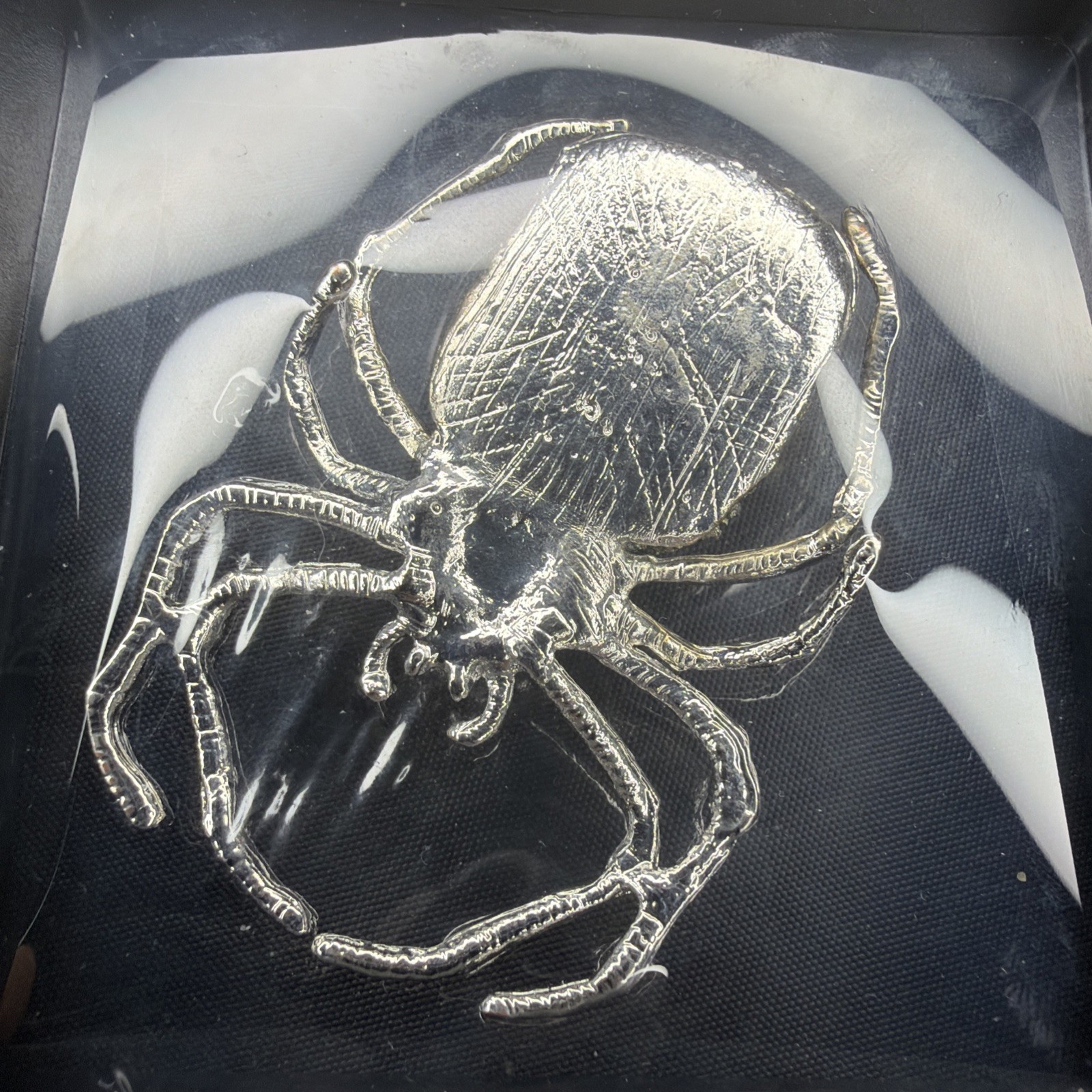 Natural Pyrite Spider Shadow Box Display – Fool’s Gold Mineral Decor