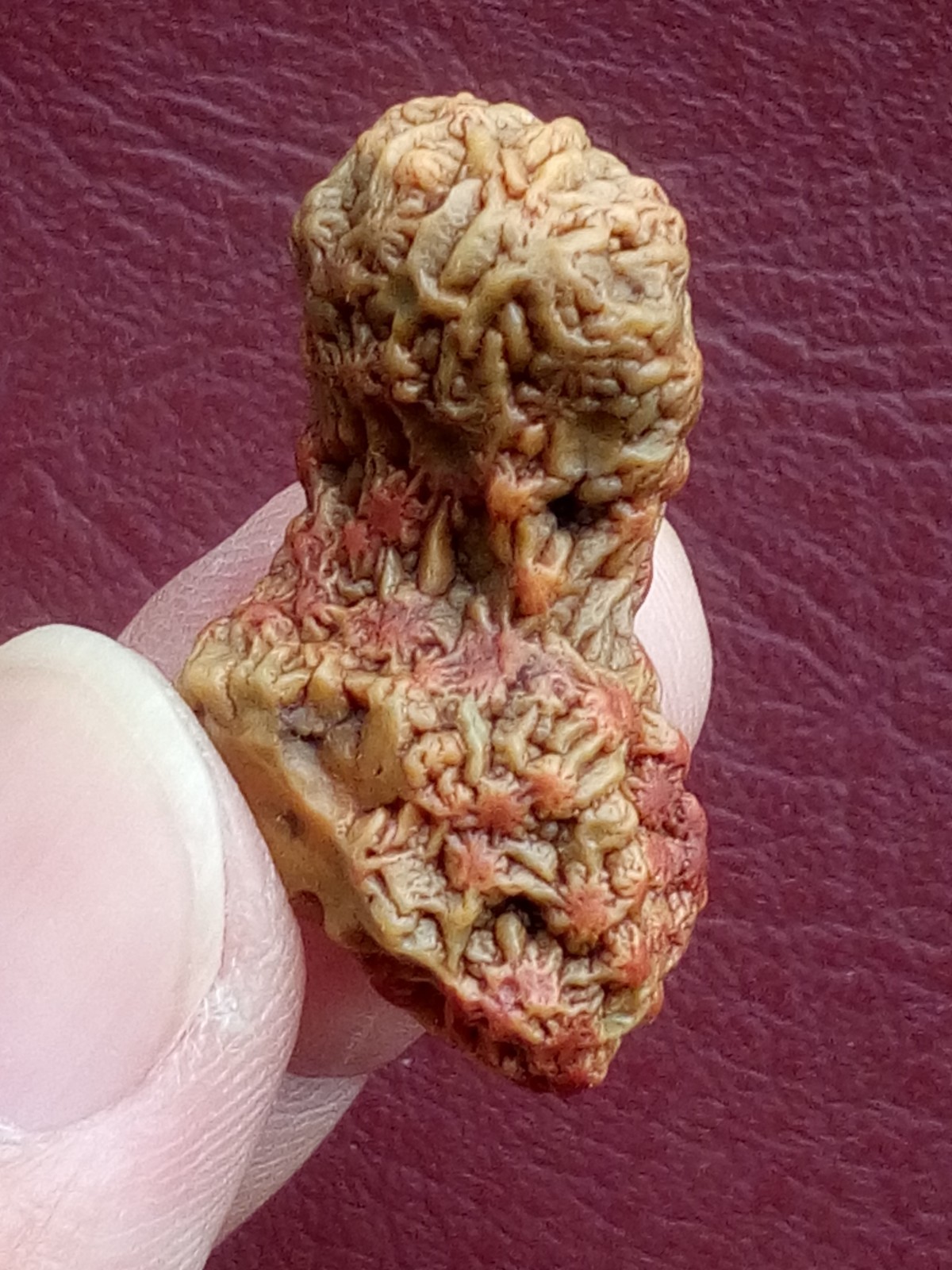 5 pieces Beautiful Natural GoBi agate veins agate Landscape stone