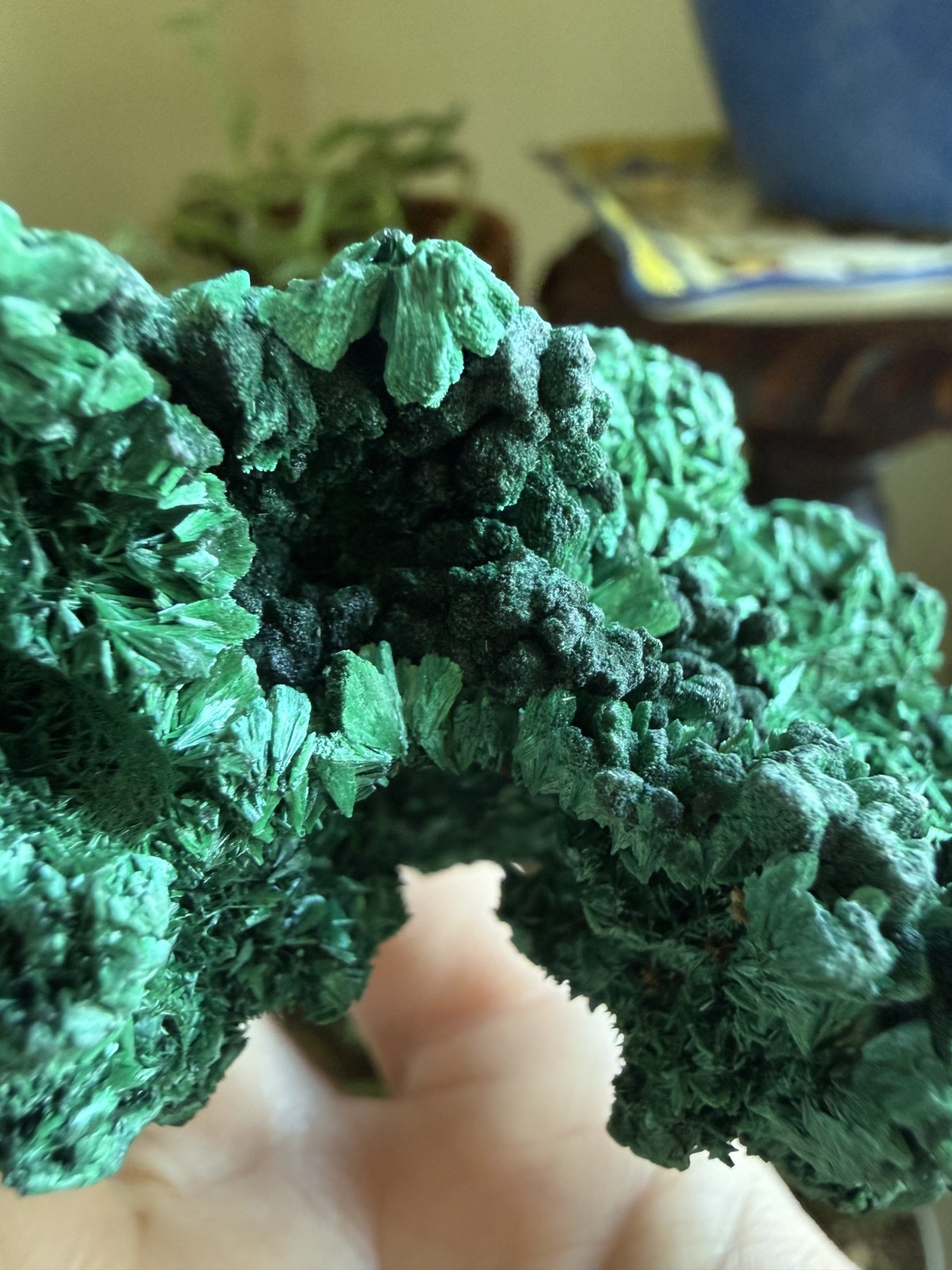 Malachite Crystal Specimen (Floating, No Matrix) – 5.68 oz
