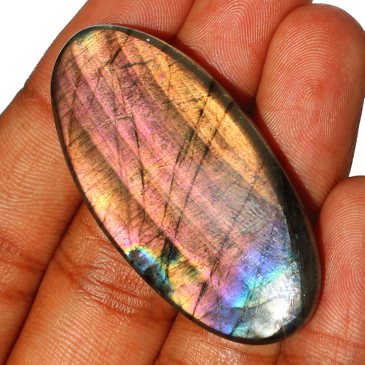 4 PC Natural Labradorite Multi Purple Flash Collectible Gem Crystal Palmstones