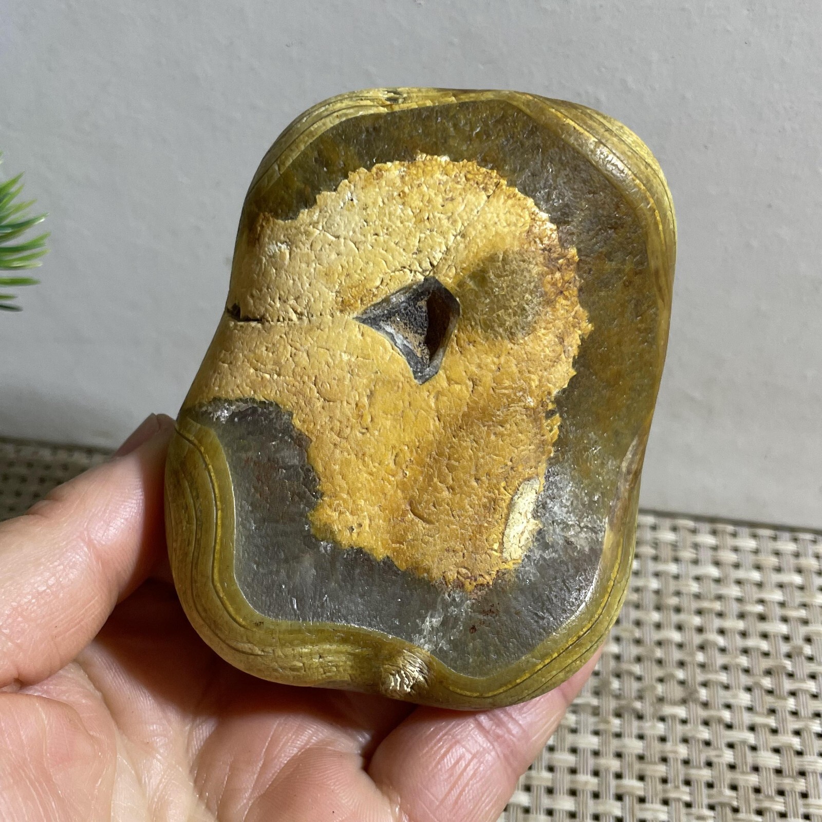 352g Bonsai Suiseki- Gobi Agate Eyes Stone-Rare Stunning Viewing