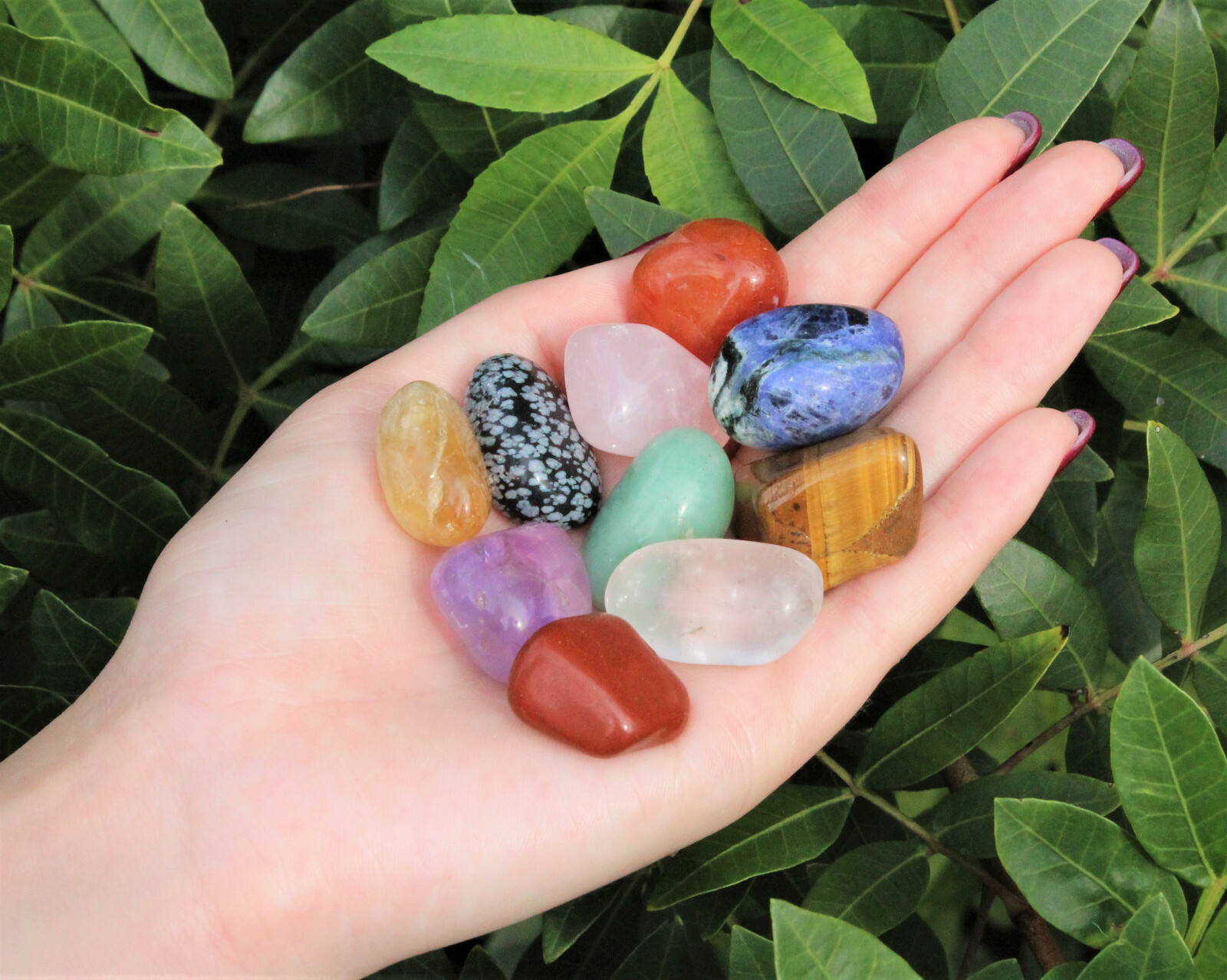Beginners Crystal Kit, 10 pcs In Velvet Pouch – Most Popular Tumbled Crystals