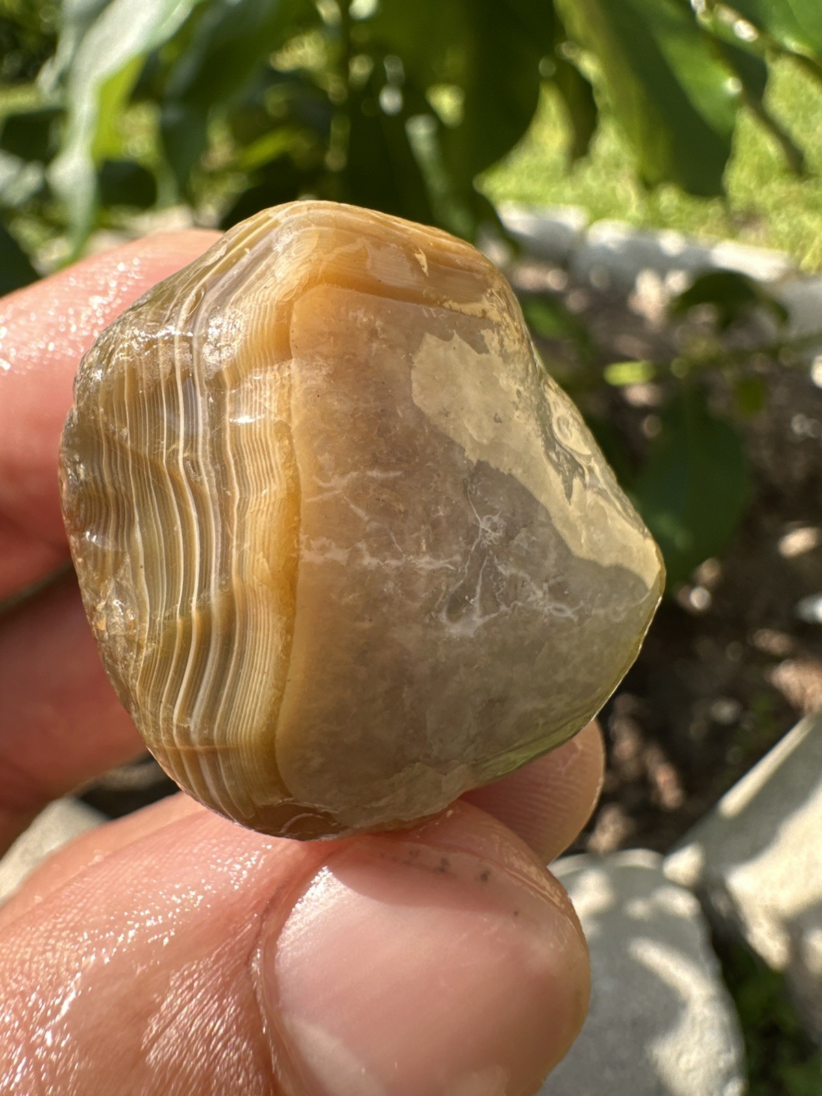 3.90 oz Lake Superior Agate Lapidary Lot 5 Multicolor Beauty’s