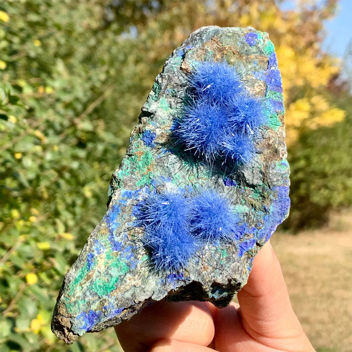 50-80g Blue Dandelion Zeolite Quartz Crystal Healing Cluster Mineral Specimen