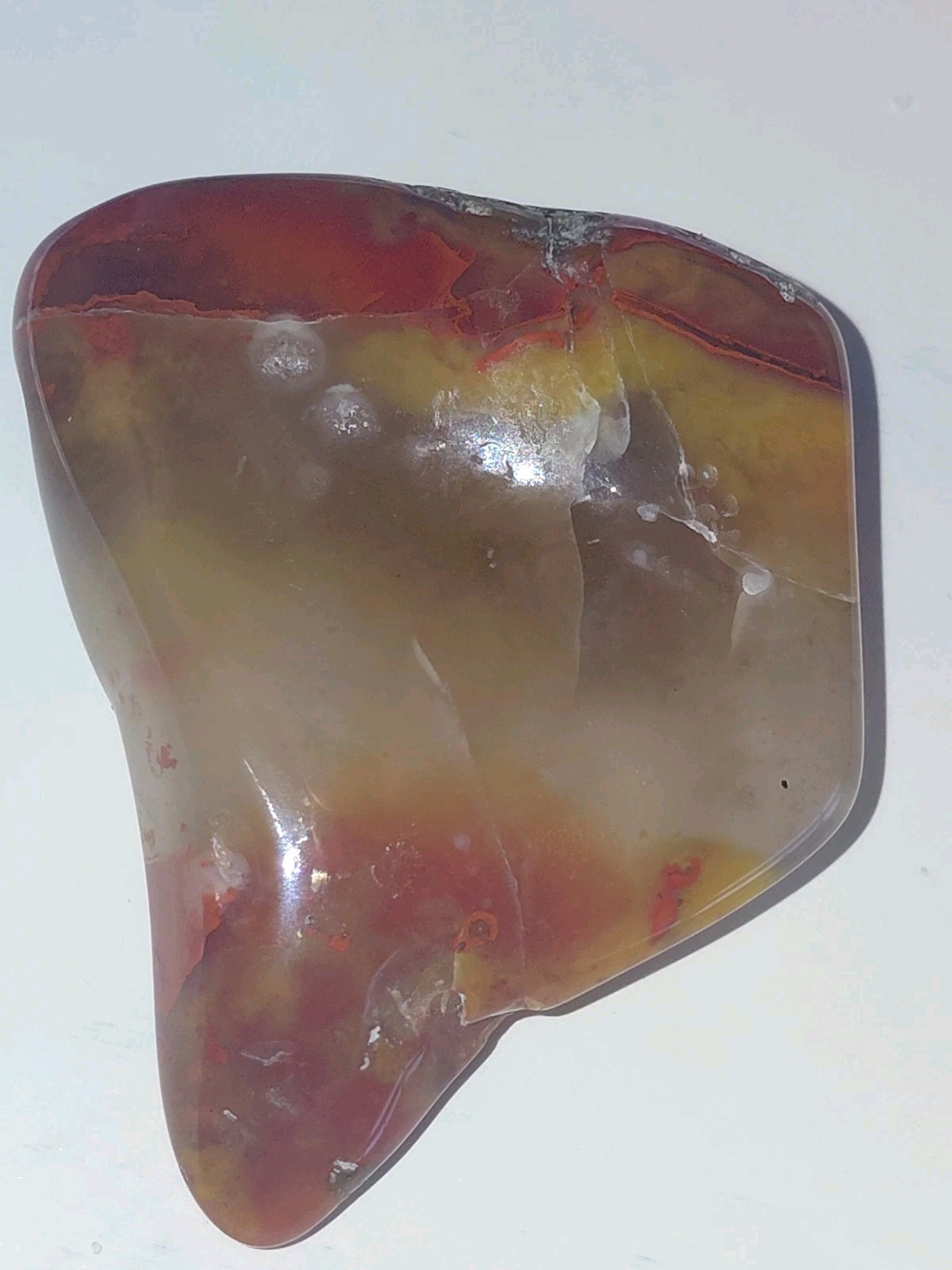Polished Yellow Cat UV+ Agatized Petrified Wood Limb Cast Mineralization @ Depth