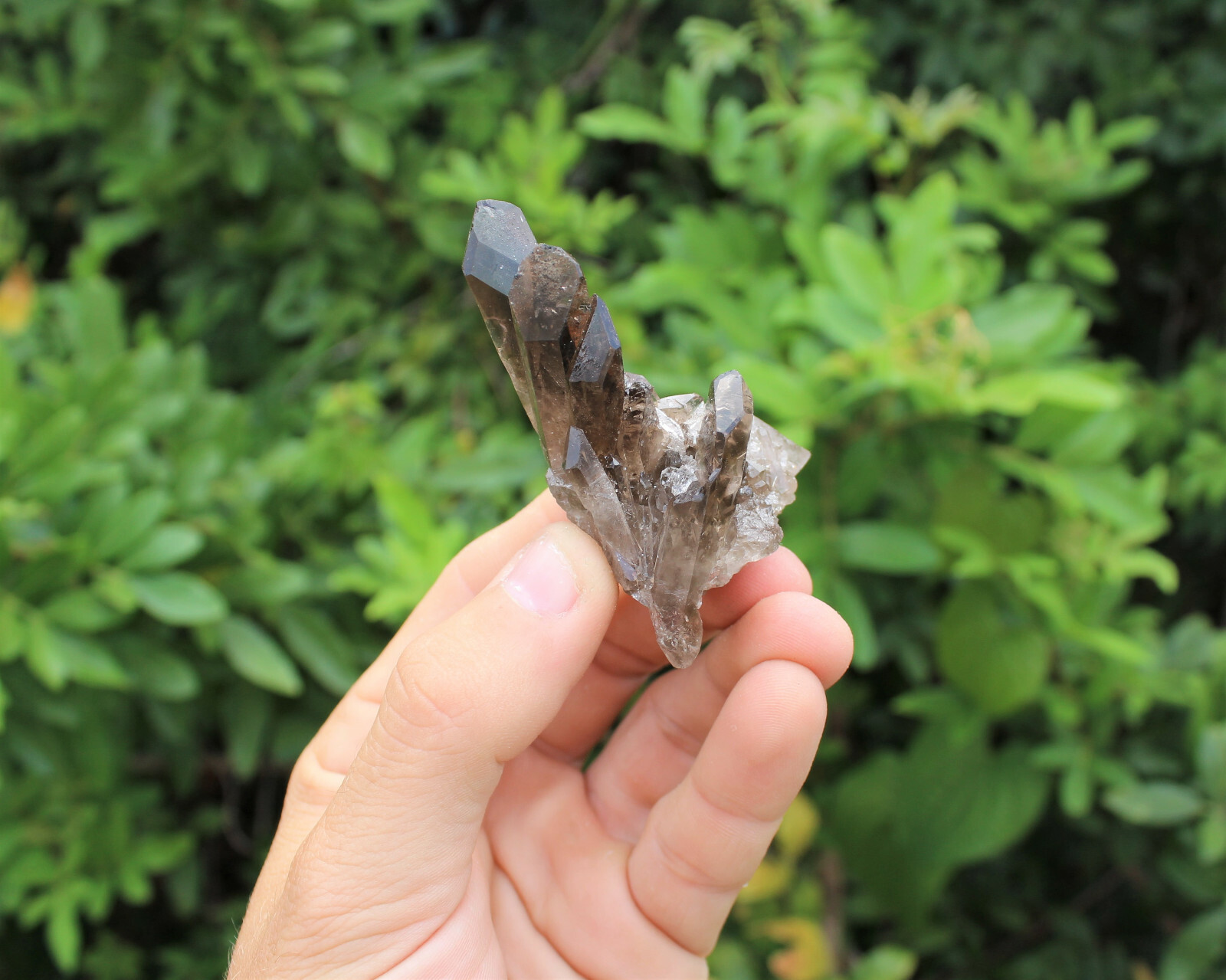 Smoky Quartz Crystal Clusters – Bulk Wholesale ‘A’ Grade High Quality Crystals