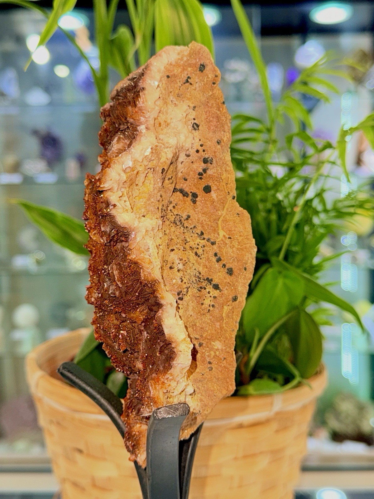 Vanadanite 🇲🇦
