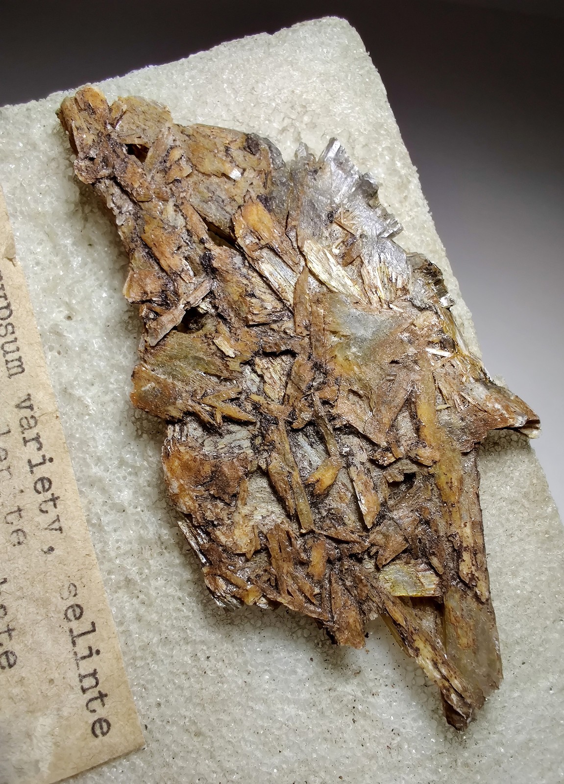 Gypsum-Selenite crystals, old “traded” collection piece . Stanhope, Iowa. 9 cm.