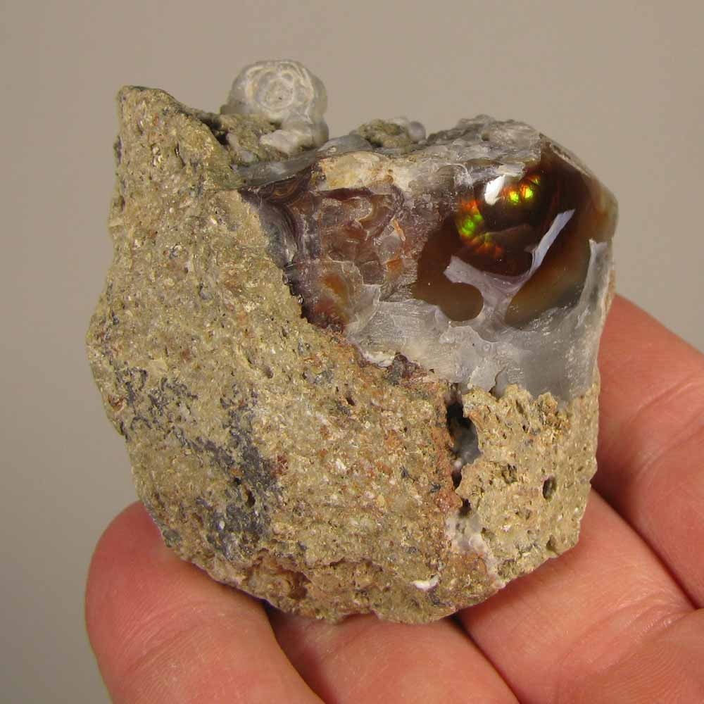 2.5″ Polished FIRE AGATE Gemstone on Matrix Rock – Mexico