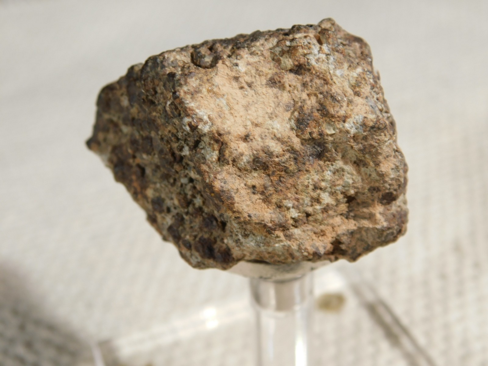 Classified NWA 8245 METEORITE 100% Natural FELL in Erfoud, Morocco 65.9gr