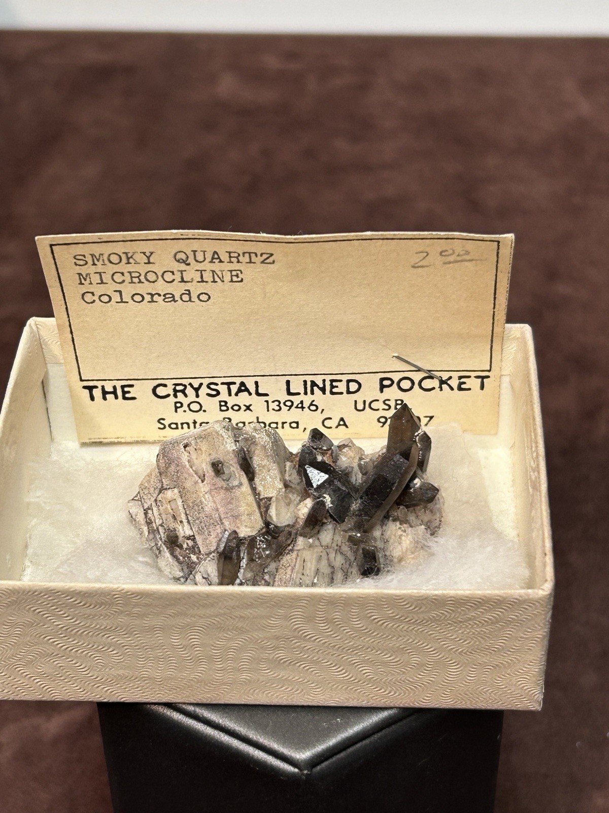 Smoky Quartz on Microcline Colorado Crystal Lined Pocket Miniature Mineral
