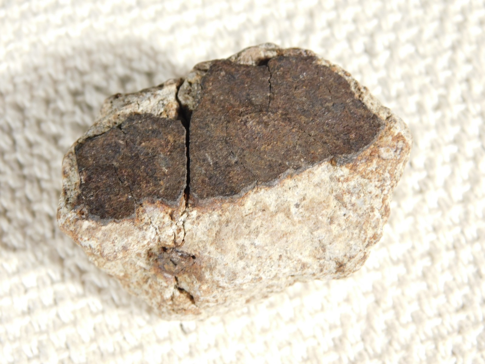 Classified NWA 8245 METEORITE Spots of Dark Fusion Crust! Erfoud, Morocco 52.8gr