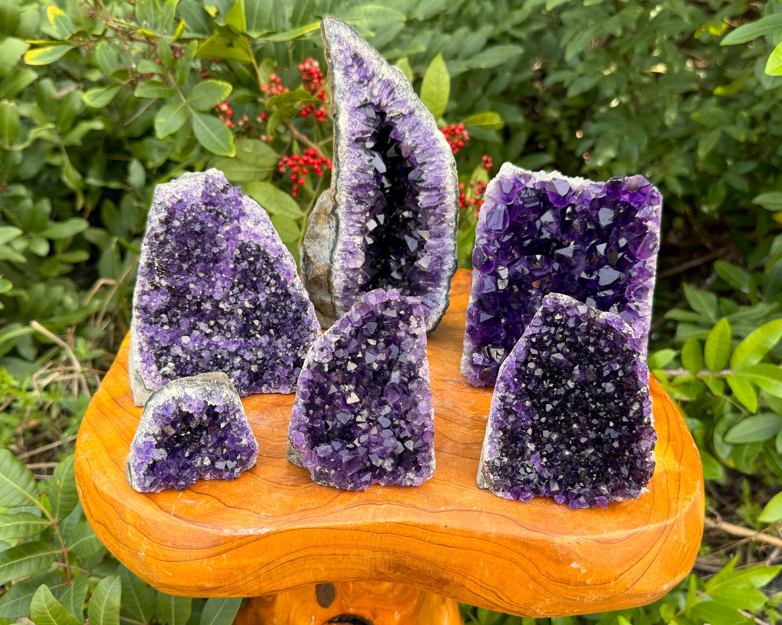 Stunning VERY LARGE Amethyst Cut Base Cluster Crystal Quartz Geode 1.1 – 1.8 lb