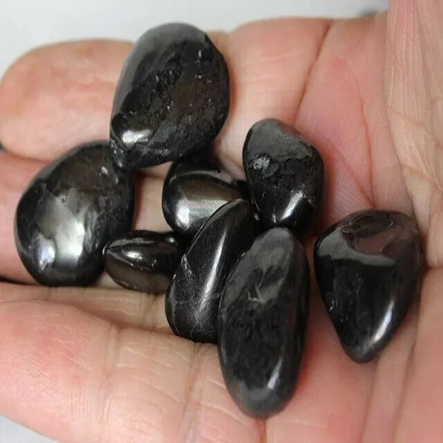 5 Pieces Pack Shungite Tumbled Stone For Protection & Home Decor Gift Item Use