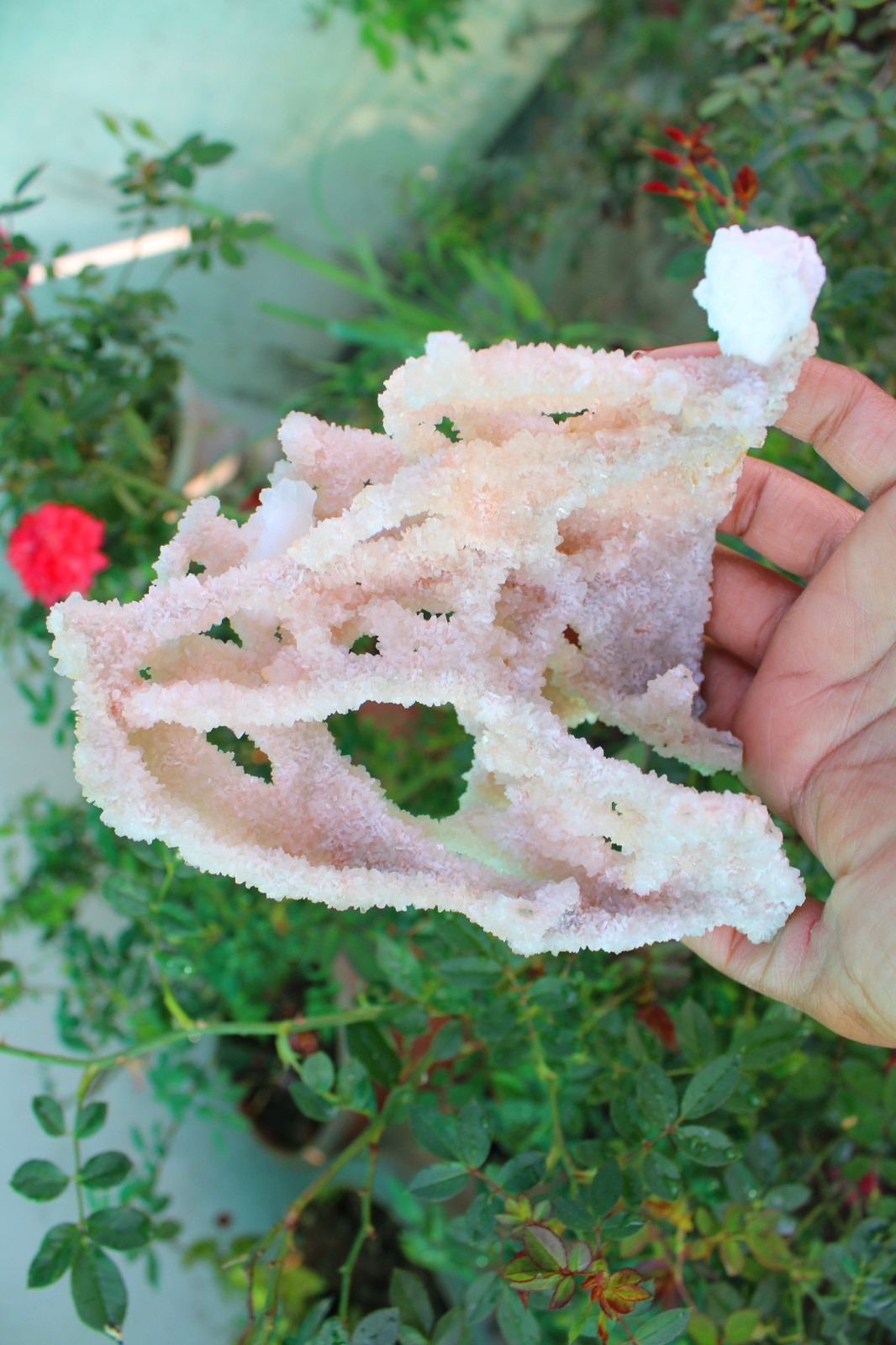 Apophyllite Crystals With Chalcedony Coral Minerals Specimen #A9
