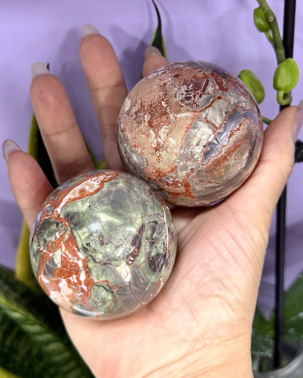 Wholesale Lot 4-5 Pcs Natural Money Agate Spheres Crystal Ball 2.8-3Lbs