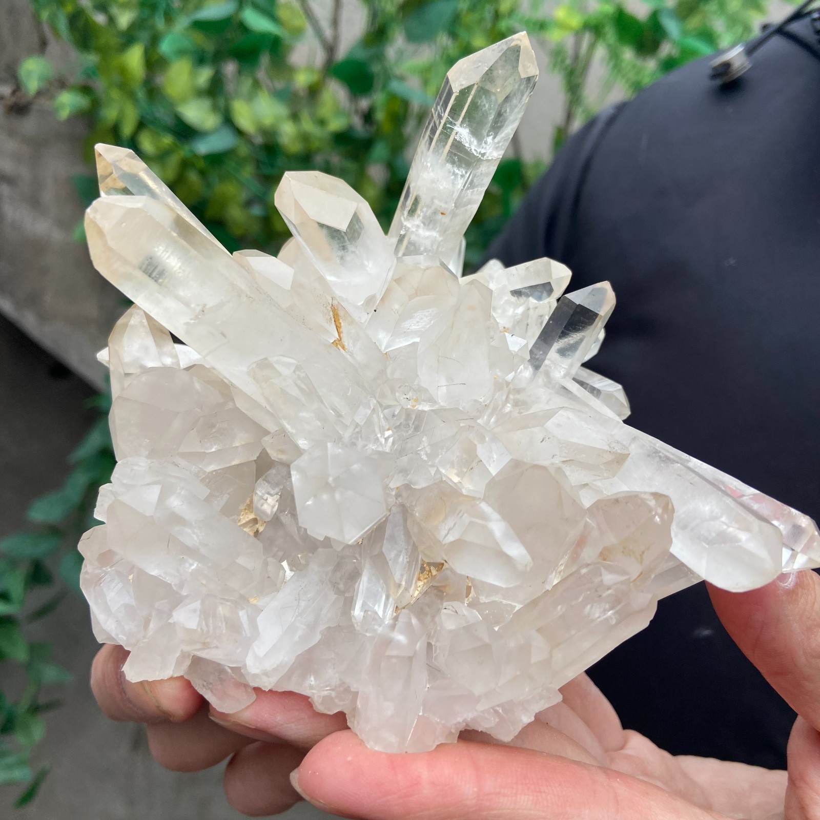 1.6lb Natural clear white quartz crystal cluster mineral specimen healing