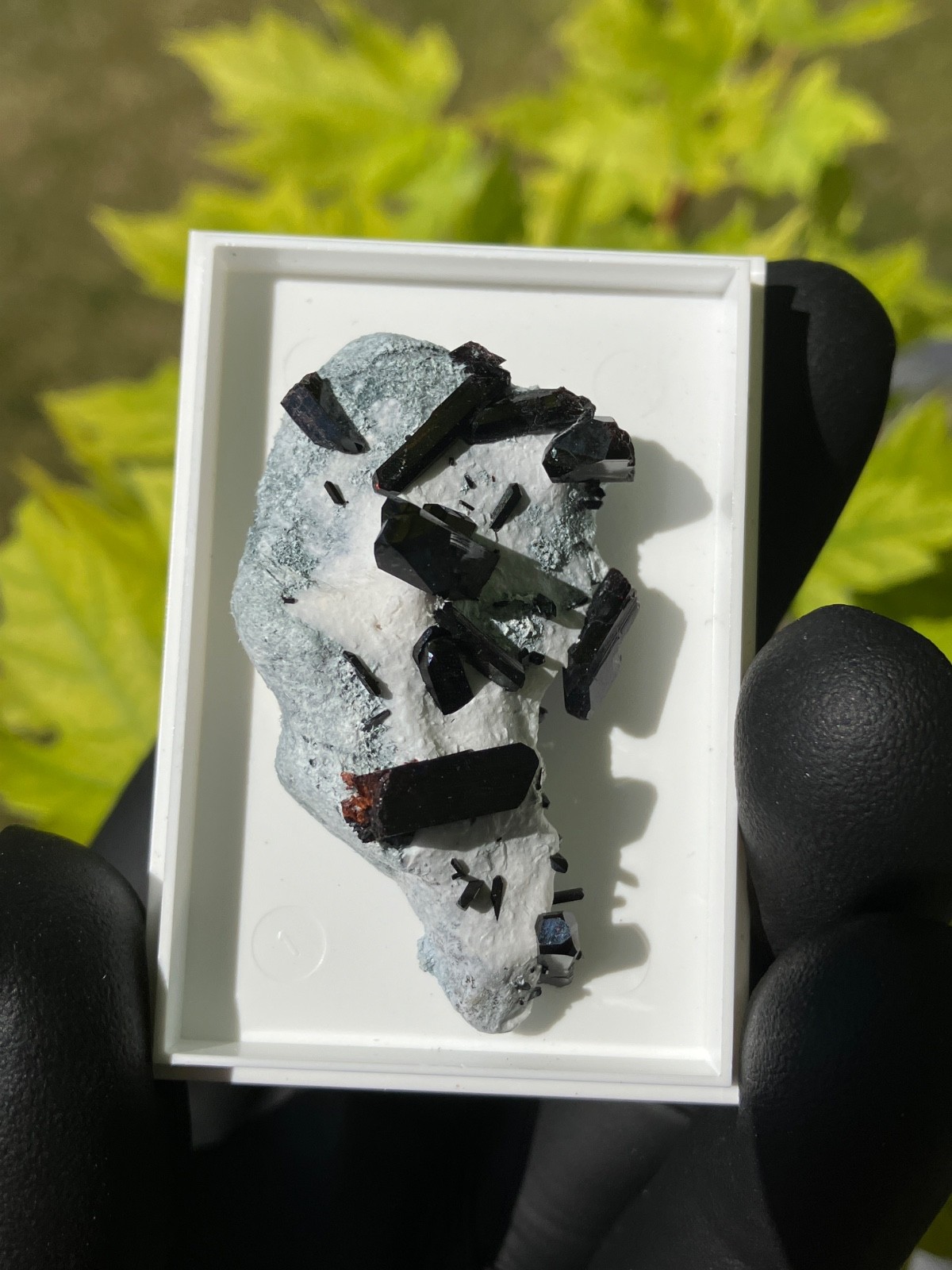 Neptunite Benitoite Mine, New Idria District, San Benito County, California, USA
