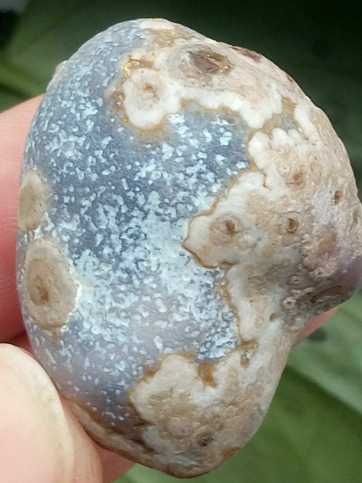 36mm Natural Gobi agate eye agate/stone,Suiseki-viewing collection china