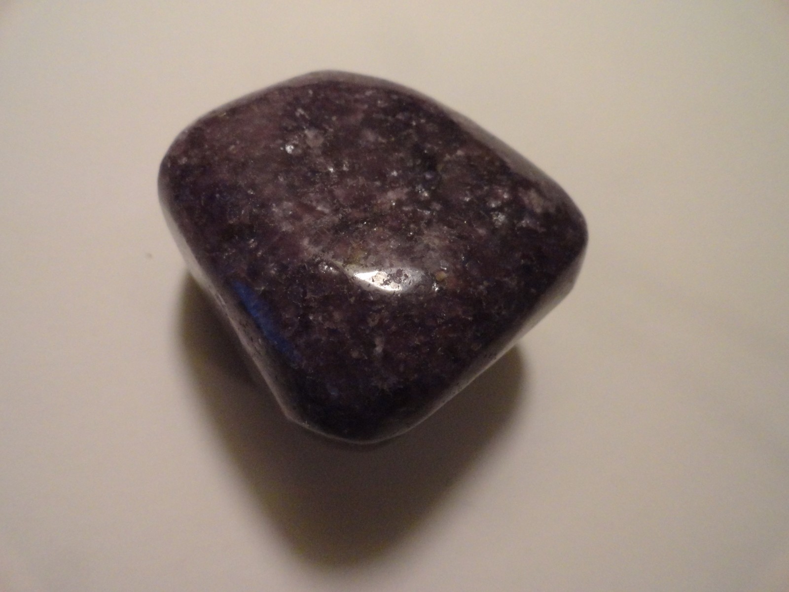 Polished Palm Stone lot