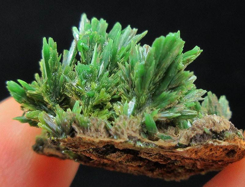 6.9g green pyromorphite crystals minerals specimens from China!~~
