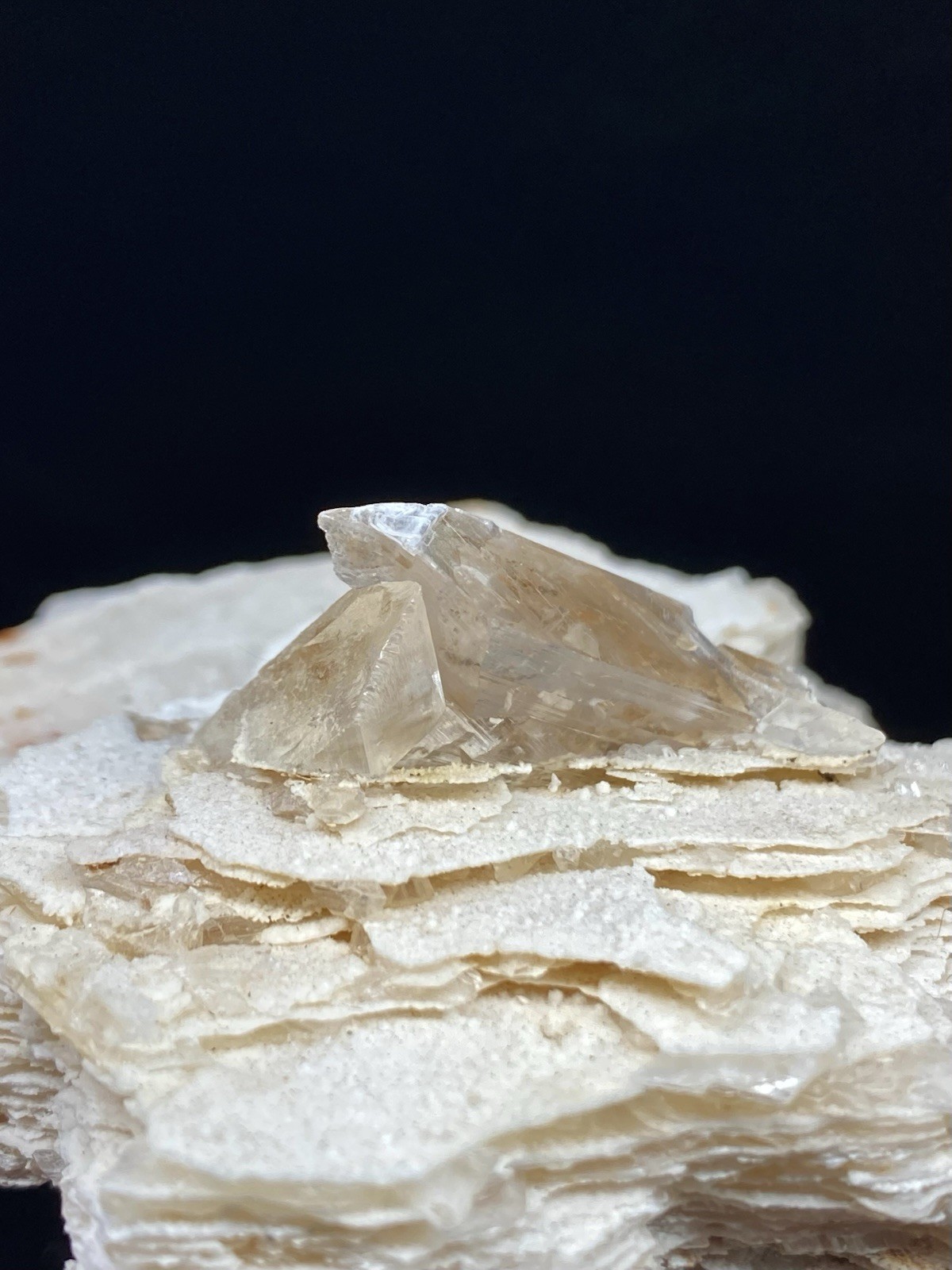 Selenite on Gypsum from Chihuahua, Mexico – Free Shipping
