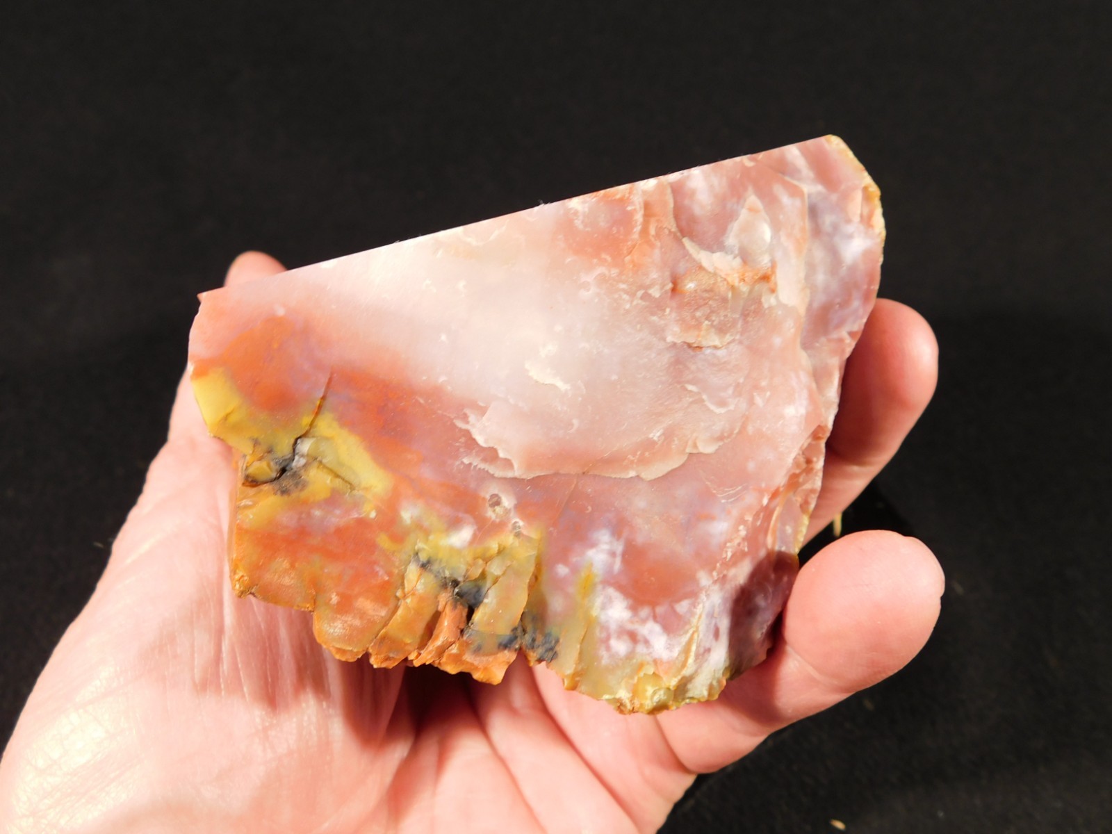 Larger! Red Purple Yellow Polished Petrified RAINBOW WOOD Fossil Arizona 959gr