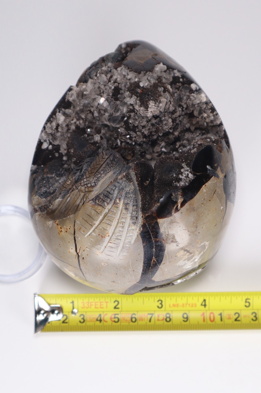 Huge Septarian Dragon Egg 4.3lb Calcite Crystal Cave Fossil Shell Display Stone