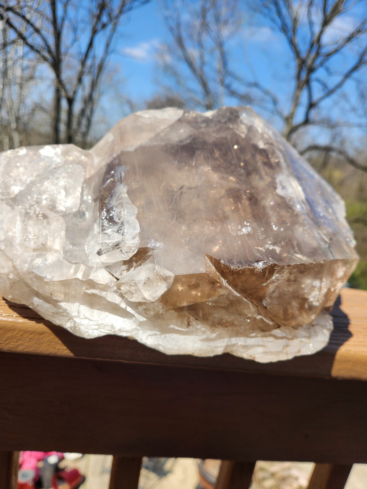 Massive Skeletal quartz scepter