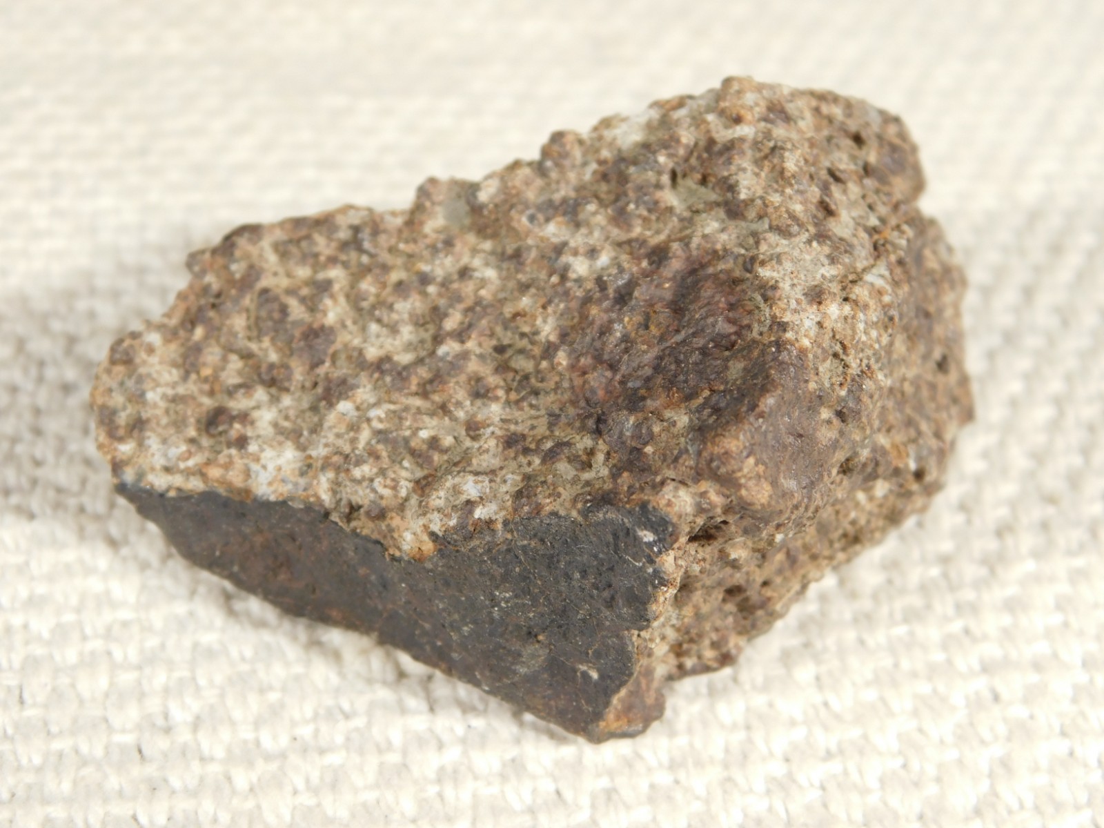 Classified NWA 8245 METEORITE 100% Natural FELL on Erfoud, Morocco 114gr