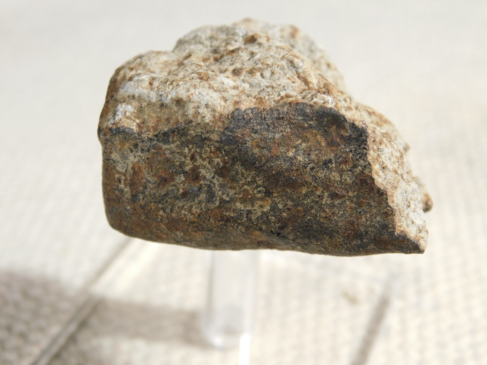 Classified NWA 8245 METEORITE 100% Natural FELL in Erfoud, Morocco 63.2gr