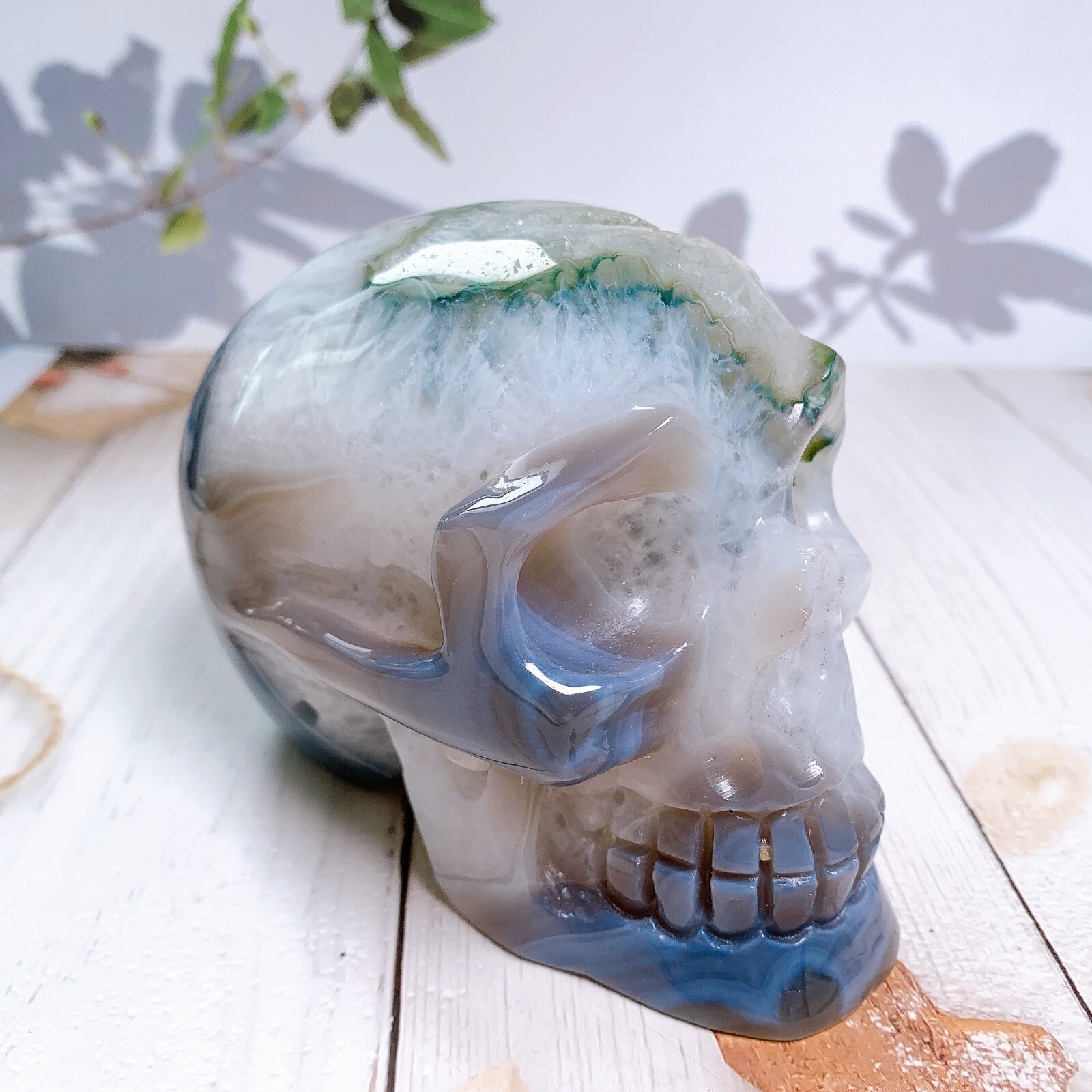 1pc Natural crystal skull Geode agate skulls carving Healing Home decoration