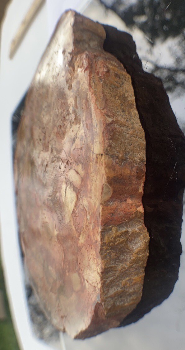 Petrified Wood Slab 308 Gram/both Sides Polished,Bark Ring On/Beautiful Specimen