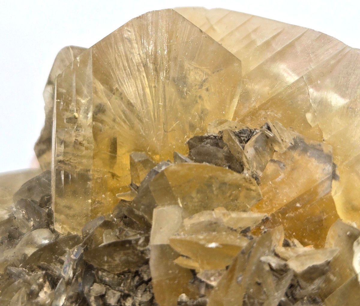 +++ GYPSUM VAR. SELENITE RED RIVER FLOODWAY, WINNIPEG, MANITOBA, CANADA +++