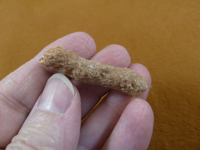 R309-1 1-5/8″ Fulgurite lightning strike beach fused sand Sahara Desert Morocco