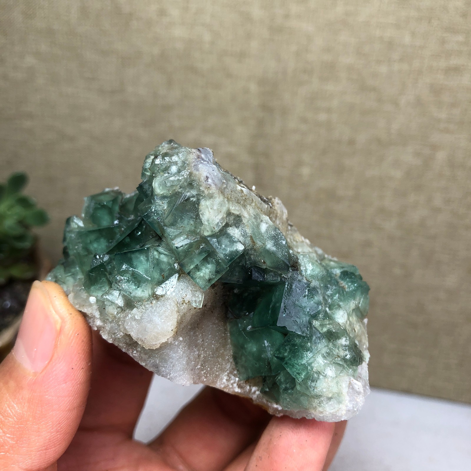 101g NATURAL Green Cubic FLUORITE Crystal Cluster Mineral Specimen A4737