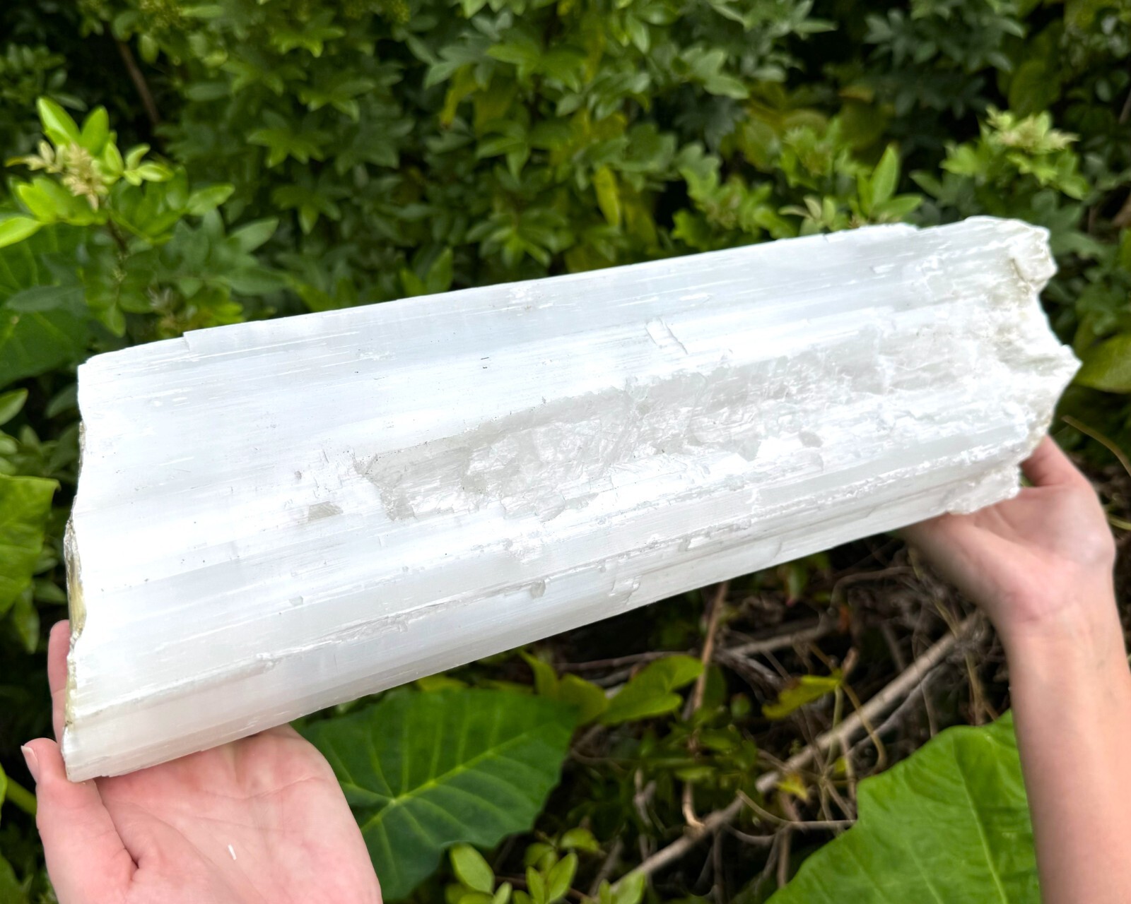 MASSIVE Selenite Logs – Natural White Selenite Crystals (HUGE Selenite Sticks)