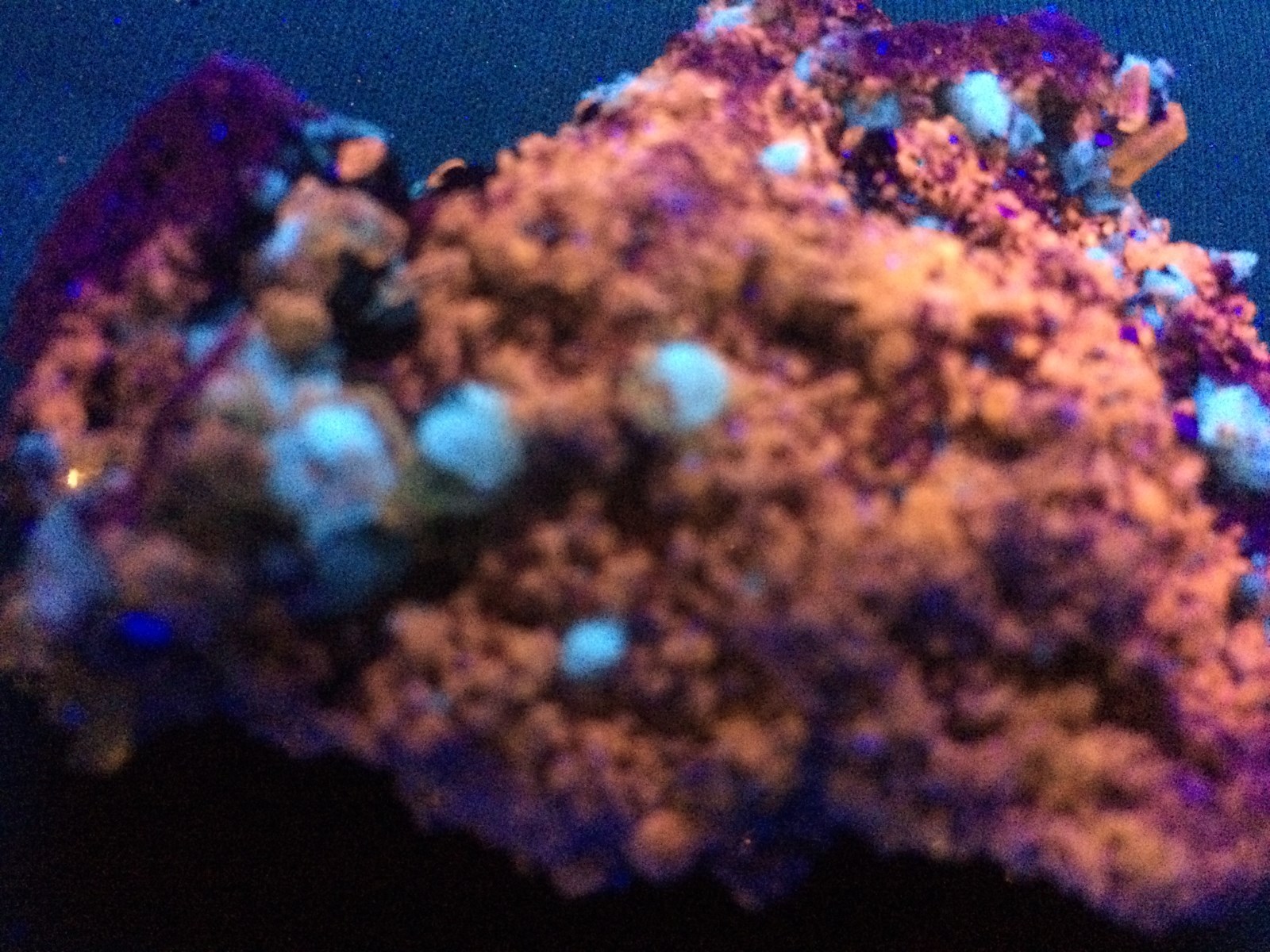 KB: BRIGHT SW FL. ORANGE APATITE XLS. W/ FL. WHITE CALCITE FROM SPAIN