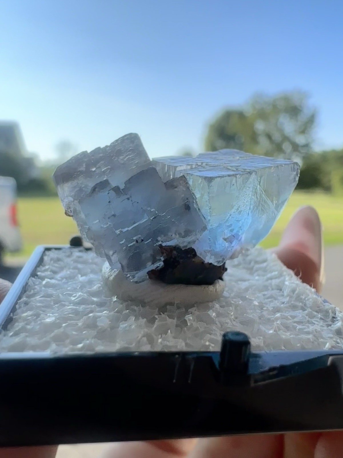 Blue Fluorite, Minerva No. 1 Illinois