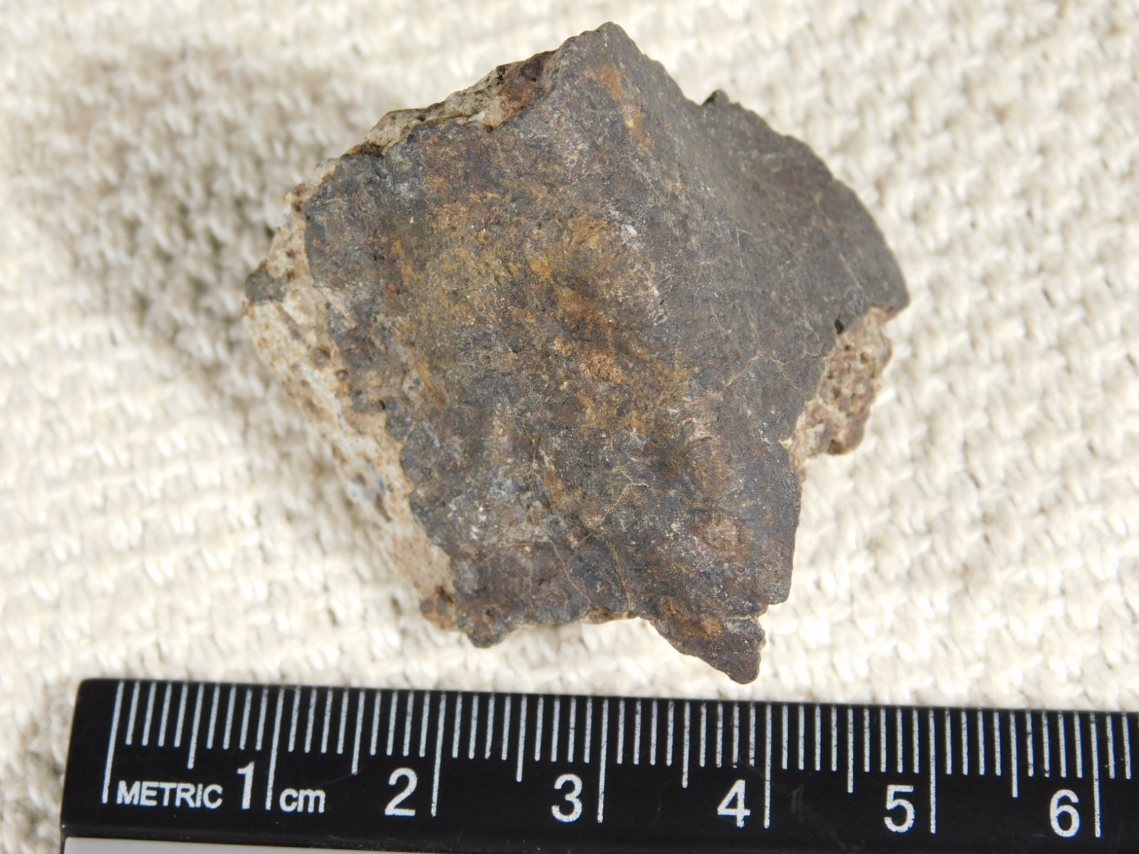 Classified NWA 8245 METEORITE 100% Natural FELL on Erfoud, Morocco 47.3gr