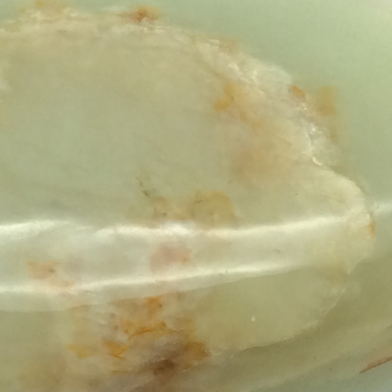 Siberian Jade Pebble Pistachio Green Brown Nephrite Jade Stone Siberia #18